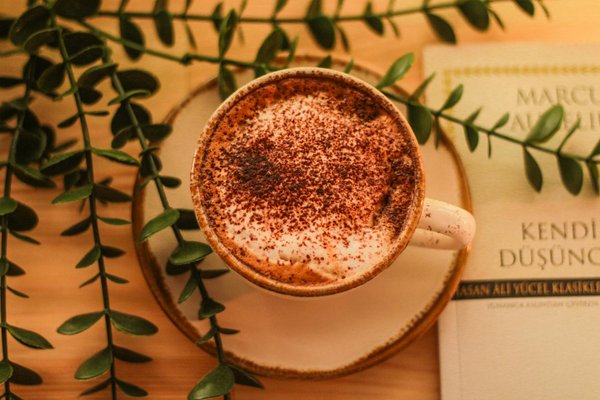 Les Clés Incontournables de l'Esthétique : Découvrez les Outils Essentiels pour Rayonner